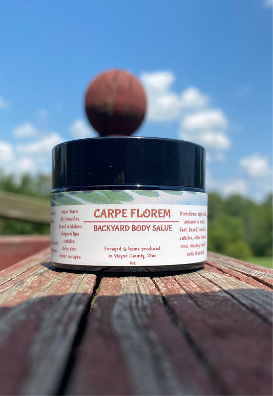 Backyard Body Salve